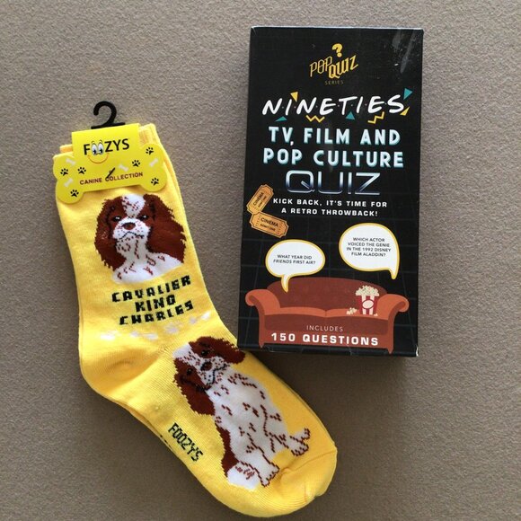Nineties TV Film and Pop Culture Quiz Game (Ages 12+)  + Foozys sock dog edition - Picture 12 of 12
